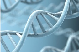 Ученые нашли в генах каждого человека 400 мутаций