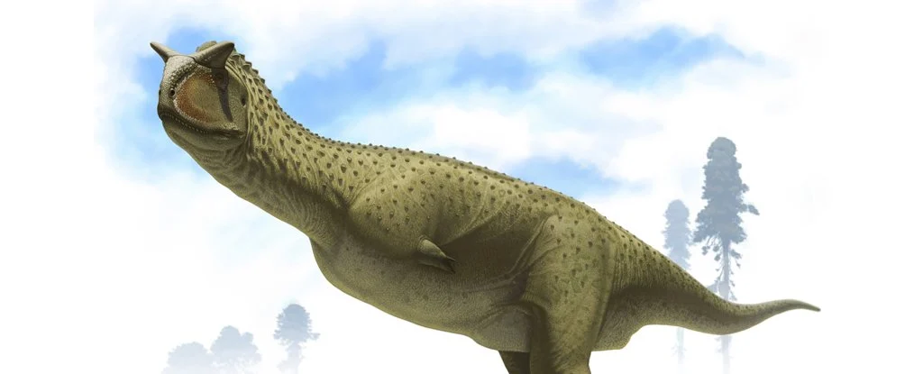 Недавно обнаруженный динозавр из Аргентины принадлежит к "безрукому" виду