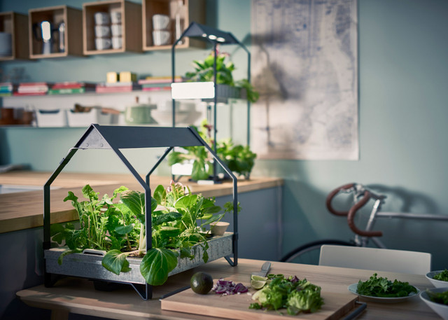 dezeen-com-hydroponic-gardening-krydda-vaxer-series-kit-ikea-sustainable-homeware-design-interior-in