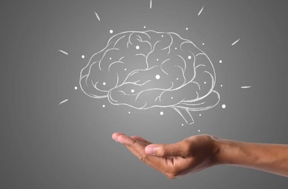 тест с цветами люшера 5prism.ru