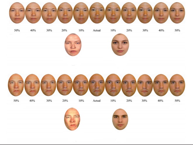 The researchers blended the participants faces with idealized attractive or...