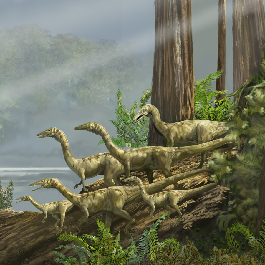 100 млн лет назад какая эра. Целофизис Триас. Юрский период мезозойской эры. Динозавры Триасового периода. Триасовый период мезозойской эры динозавры.