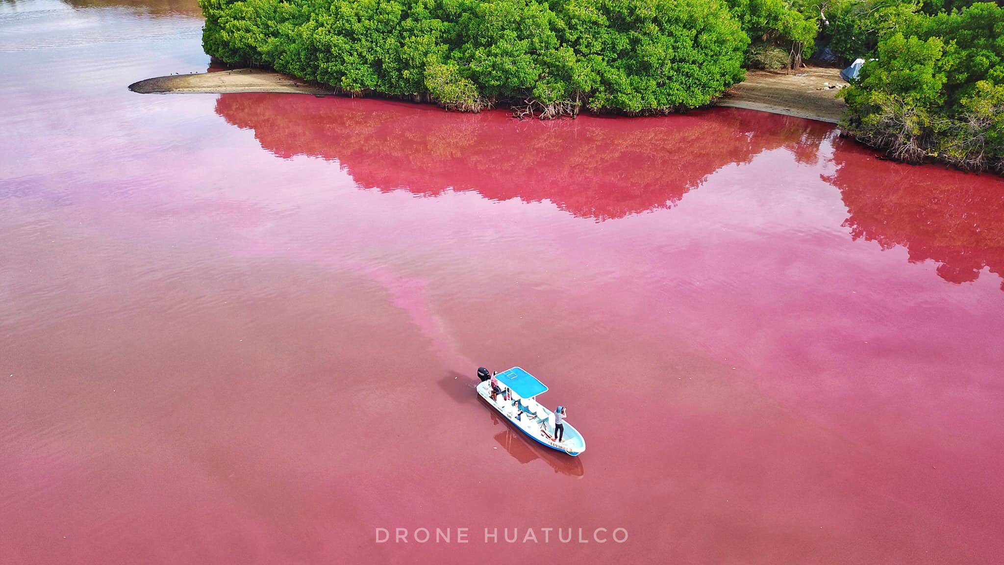 Водоем который окрашивается в нежно розовый цвет. Розовые озера Мексика. Озеро Хиллер Австралия купание. Розовое озеро ядовитое. Ядовито розовый.