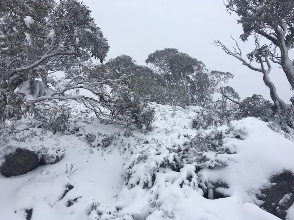 Австралия зимой