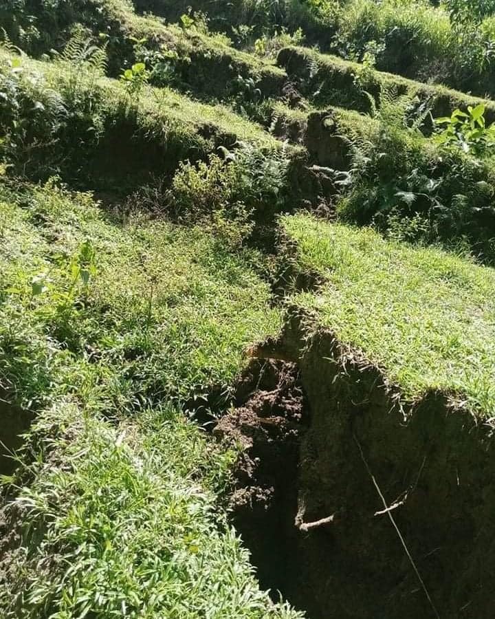 Большое поле разорвано трещиной. Трещина в земле. Фото разрыв земли.