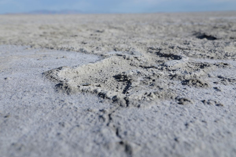 Знаменитое Большое Соленое озеро в США медленно умирает. Почему оно убивает все вокруг?
