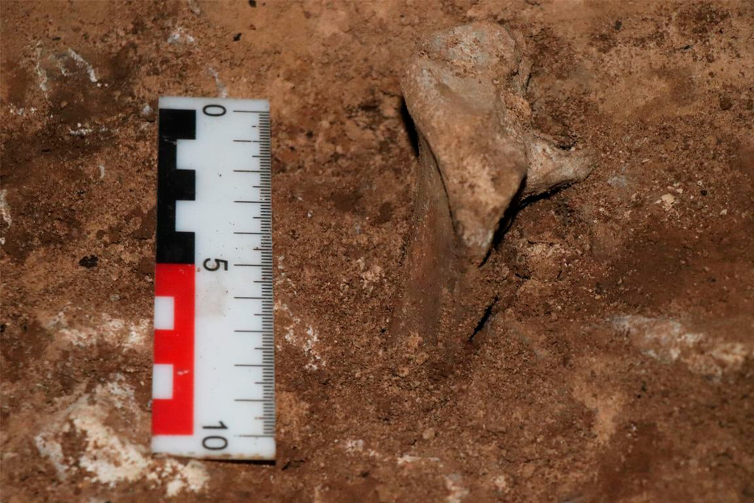 Нашли доисторическую девушку 40 миллионов. Находки в челябинских пещерах. Серпиевская 2 пещера.