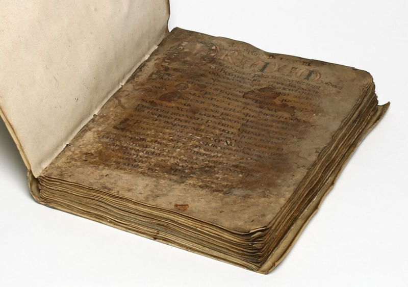 Ученые прочитали заметки на полях манускрипта из Темных веков