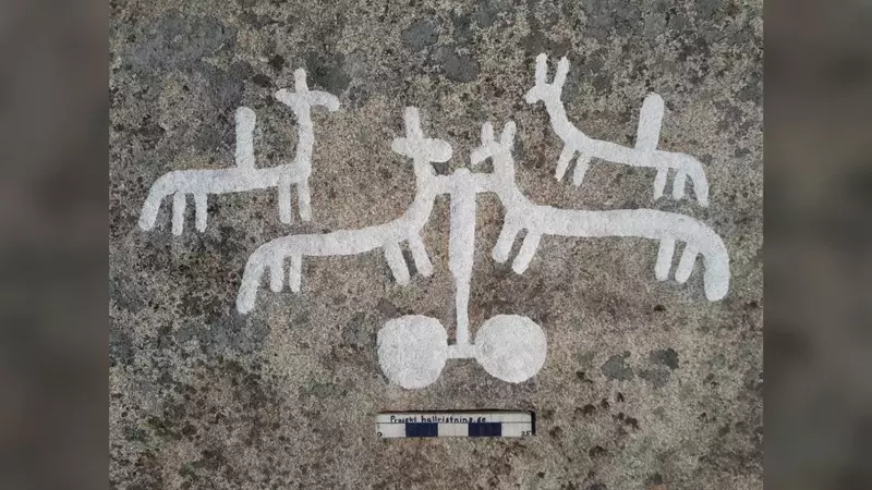 Древние петроглифы, изображающие людей, животных и корабли, были обнаружены на скалах в Швеции
