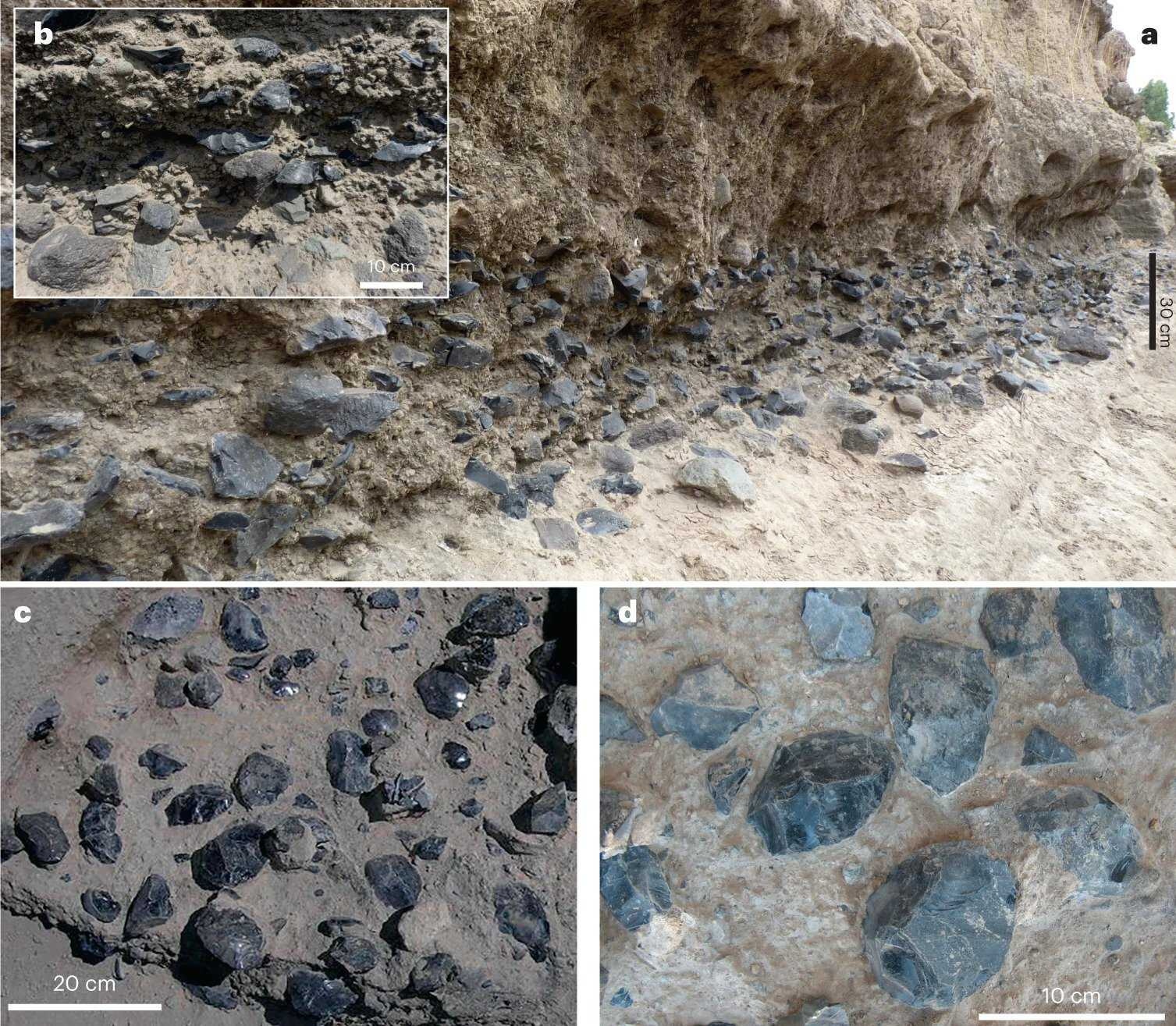 1.2-million-year-old obsidian axe factory found in ethiopia